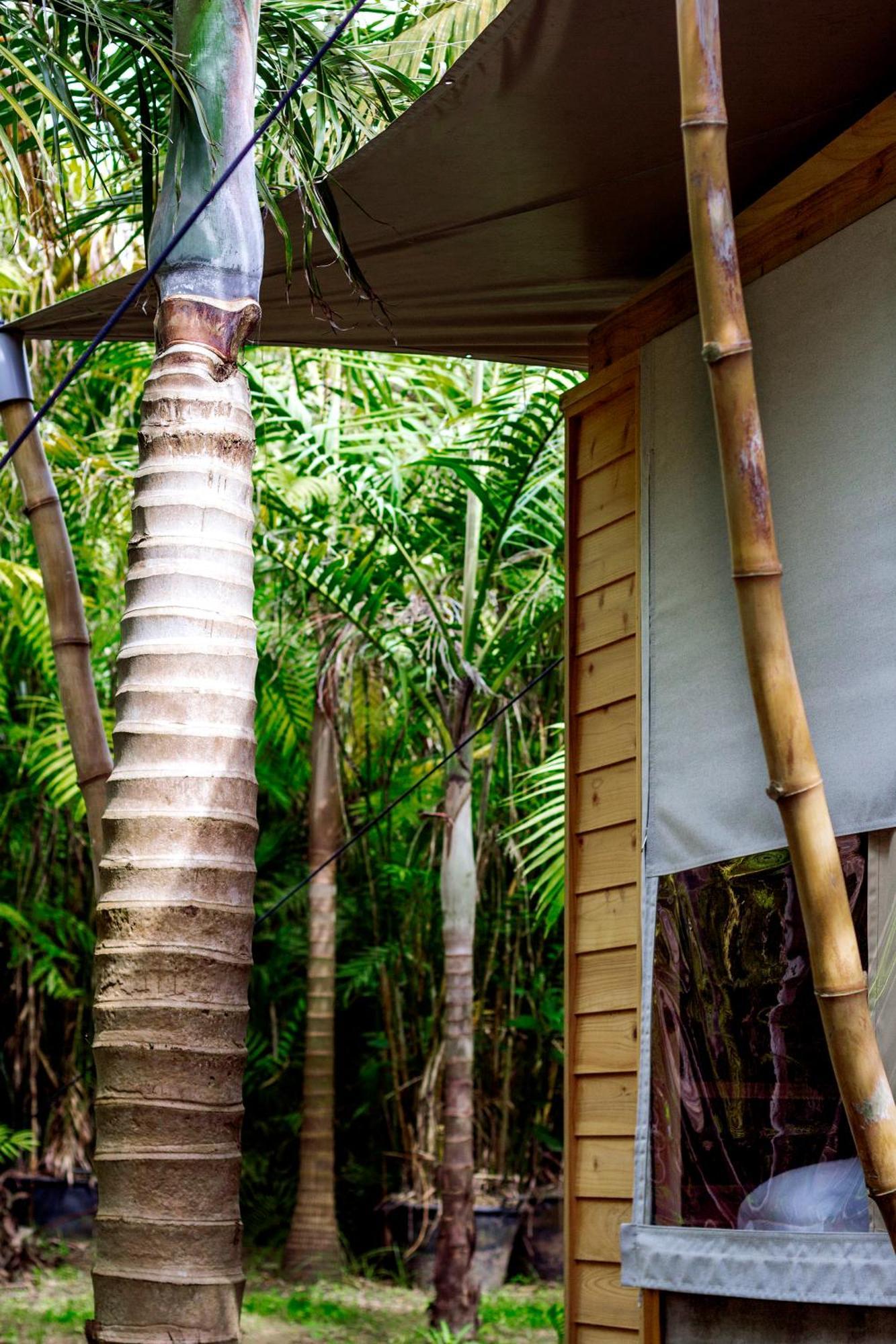 Glamping Azul Singular 4*